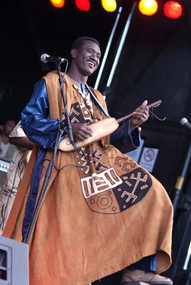 Bassekou Kouyaté: Bassekou Kouyate performing in 2008