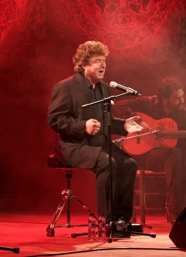 Enrique Morente: Enrique Morente en el Palau de la Música Catalana el 13 de marzo de 2009.