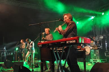 Horslips: Auftritt beim 1. blacksheep Festival 2014 im Schlosshof / Schlosspark Bad Rappenau - Bonfeld (Deutschland)