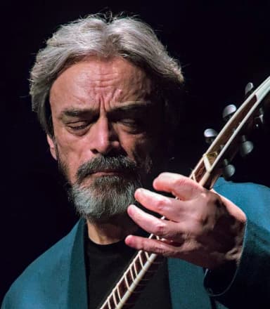 Hossein Alizadeh playing the tar