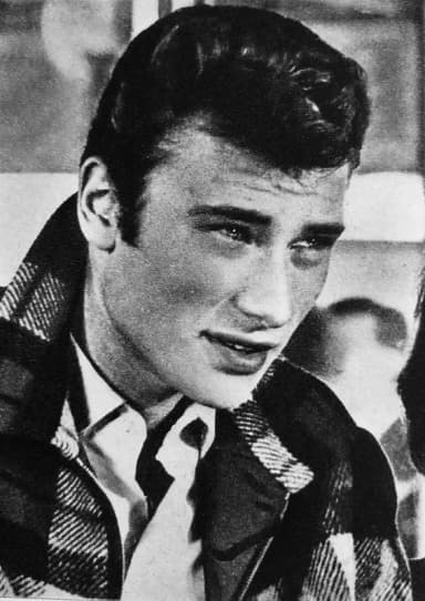 Johnny Hallyday: Johnny Hallyday