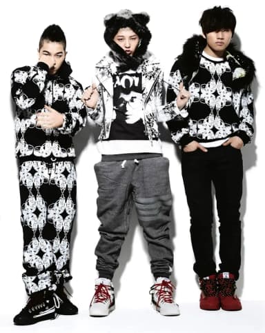 BIGBANG: Hallyu, the Korean wave Hallyu refers to spread of Korean culture around the world. Big Bang, a Korean boy band who recently released another album has been